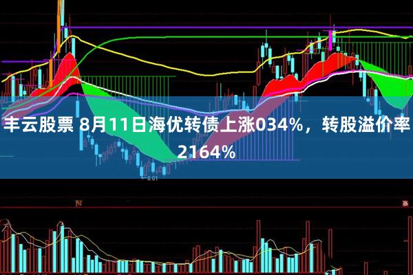 丰云股票 8月11日海优转债上涨034%，转股溢价率2164%