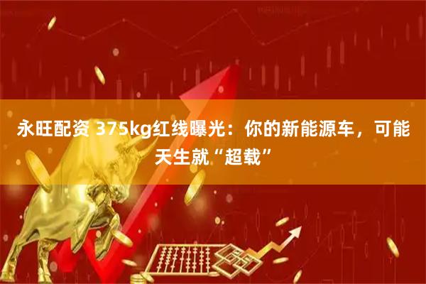 永旺配资 375kg红线曝光：你的新能源车，可能天生就“超载”