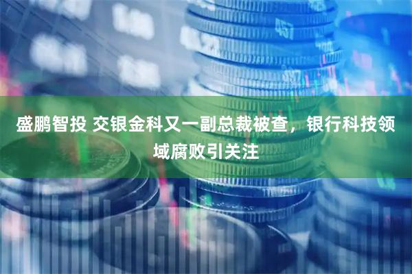 盛鹏智投 交银金科又一副总裁被查，银行科技领域腐败引关注