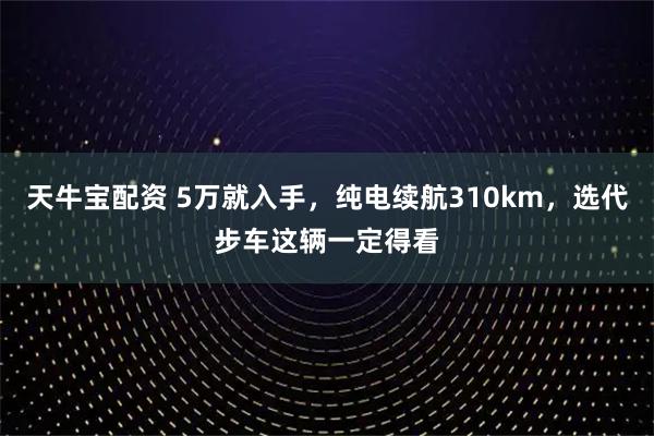 天牛宝配资 5万就入手，纯电续航310km，选代步车这辆一定得看